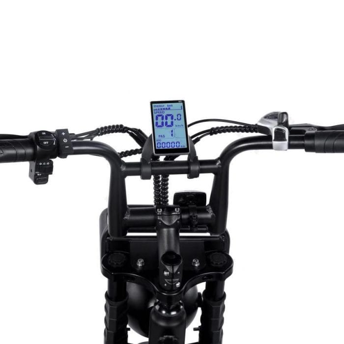 Display Fatbike H9 Display Fatbike H9