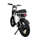 Eb2 fatbike achterkant