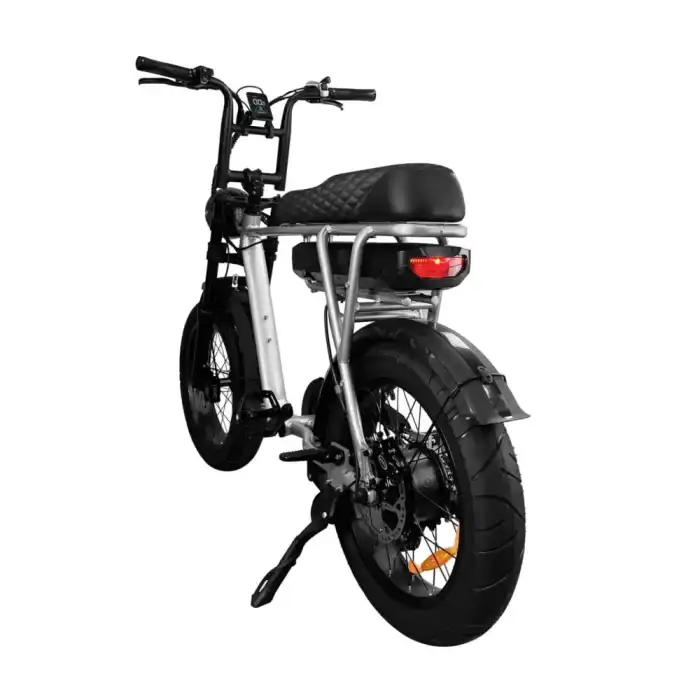 Eb2 fatbike achterkant