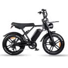 H9 Ouxi Fatbike