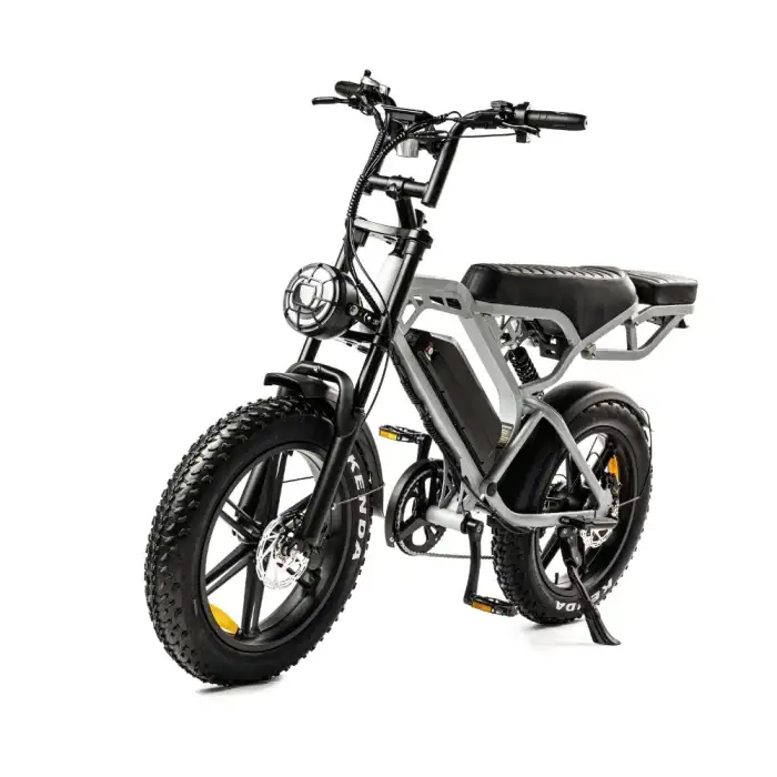 V20 Pro Lichtgrijs Fatbike 250watt V20 Pro Lichtgrijs Fatbike 250watt