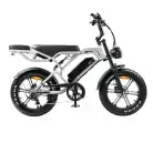 V20 Pro Lichtgrijs fatbike