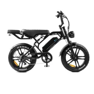 V20 Pro Fatbike | 250W | Zwart | Elektrische fatbike
