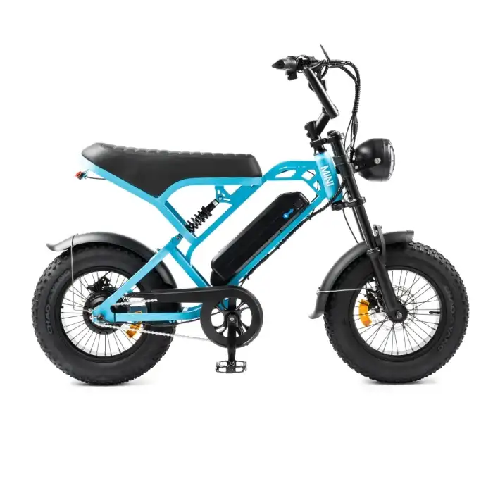 V20 pro fatbike mini kleur blauw