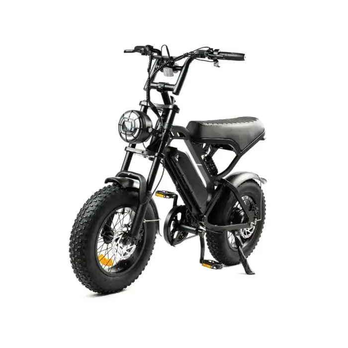 V20_fatbike_mini_zwart_zijaanzicht