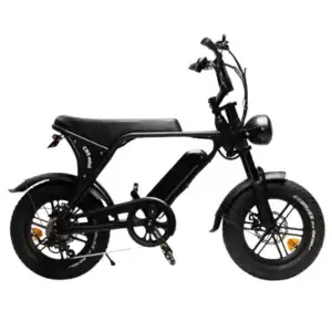 C80 Mini Fatbike | Zwart | 16inch